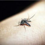Proteja o condomínio da dengue; dicas de combate ao mosquito